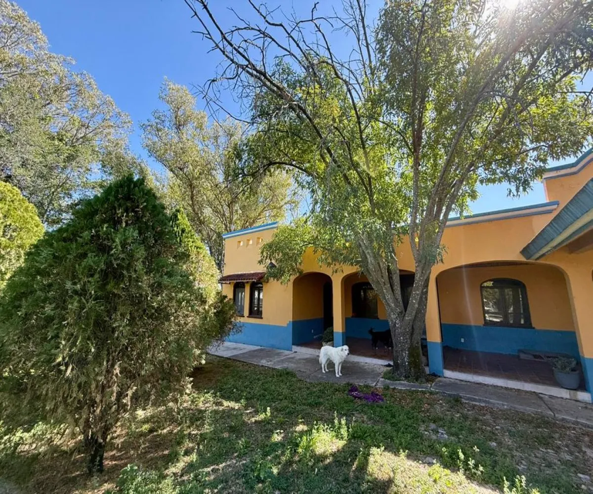Terreno En Venta,Rancho el cueto S/N, Encarnación de Díaz, Jalisco 47270, 4 Habitaciones,4 Baños,Rancho el cueto,1,pPD1hNr