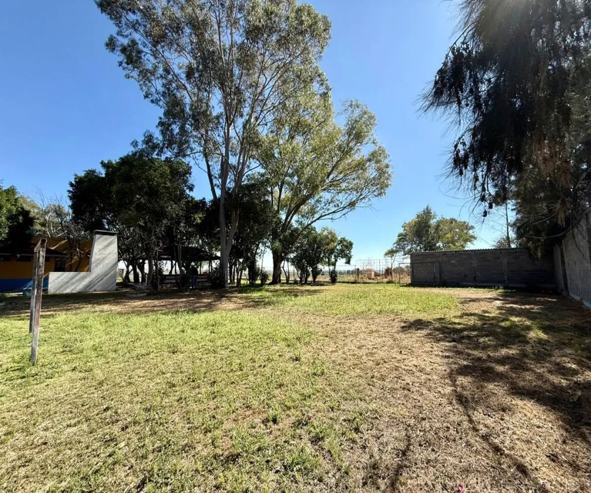 Terreno En Venta,Rancho el cueto S/N, Encarnación de Díaz, Jalisco 47270, 4 Habitaciones,4 Baños,Rancho el cueto,1,pPD1hNr