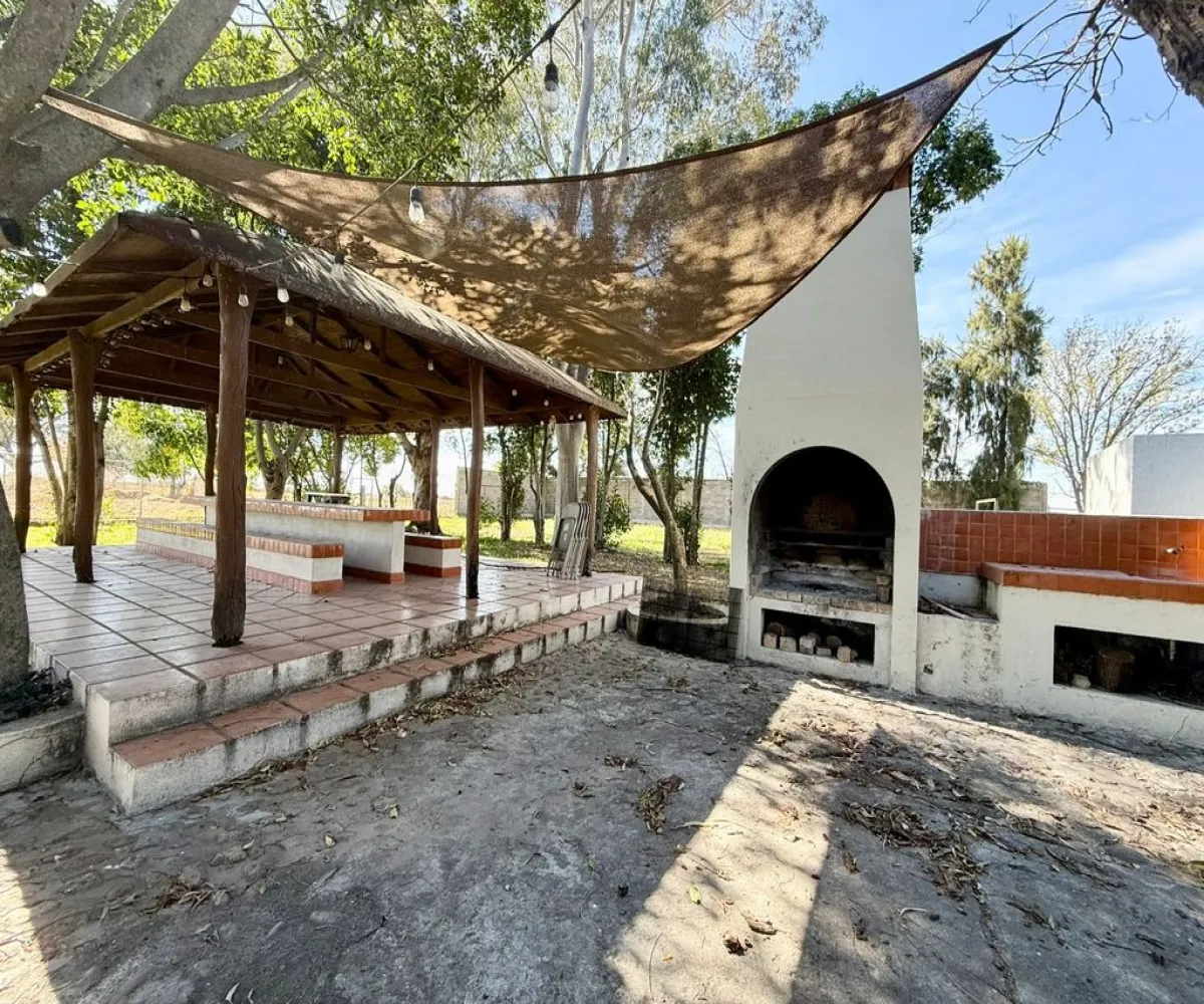Terreno En Venta,Rancho el cueto S/N, Encarnación de Díaz, Jalisco 47270, 4 Habitaciones,4 Baños,Rancho el cueto,1,pPD1hNr
