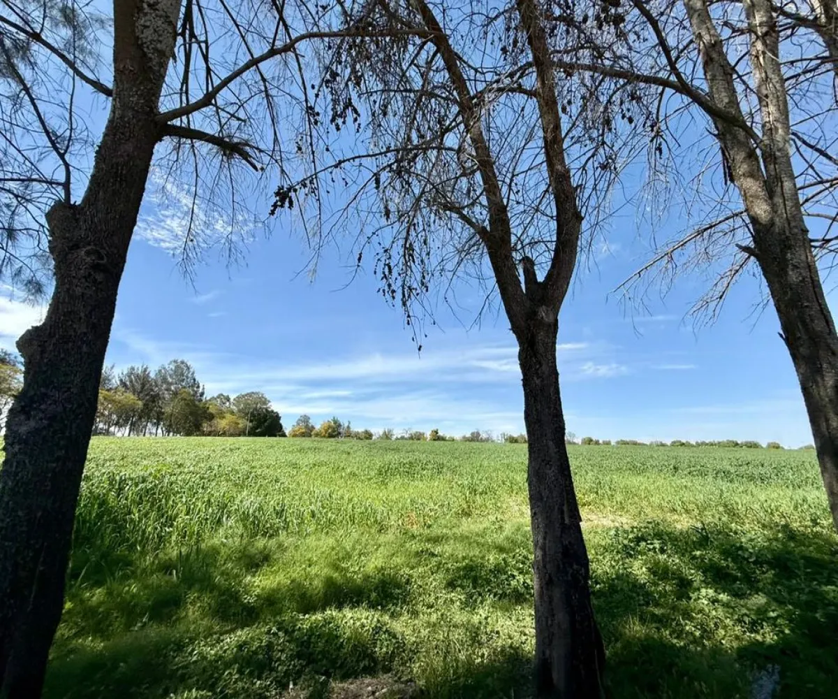 Terreno En Venta,Rancho el cueto S/N, Encarnación de Díaz, Jalisco 47270, 4 Habitaciones,4 Baños,Rancho el cueto,1,pPD1hNr