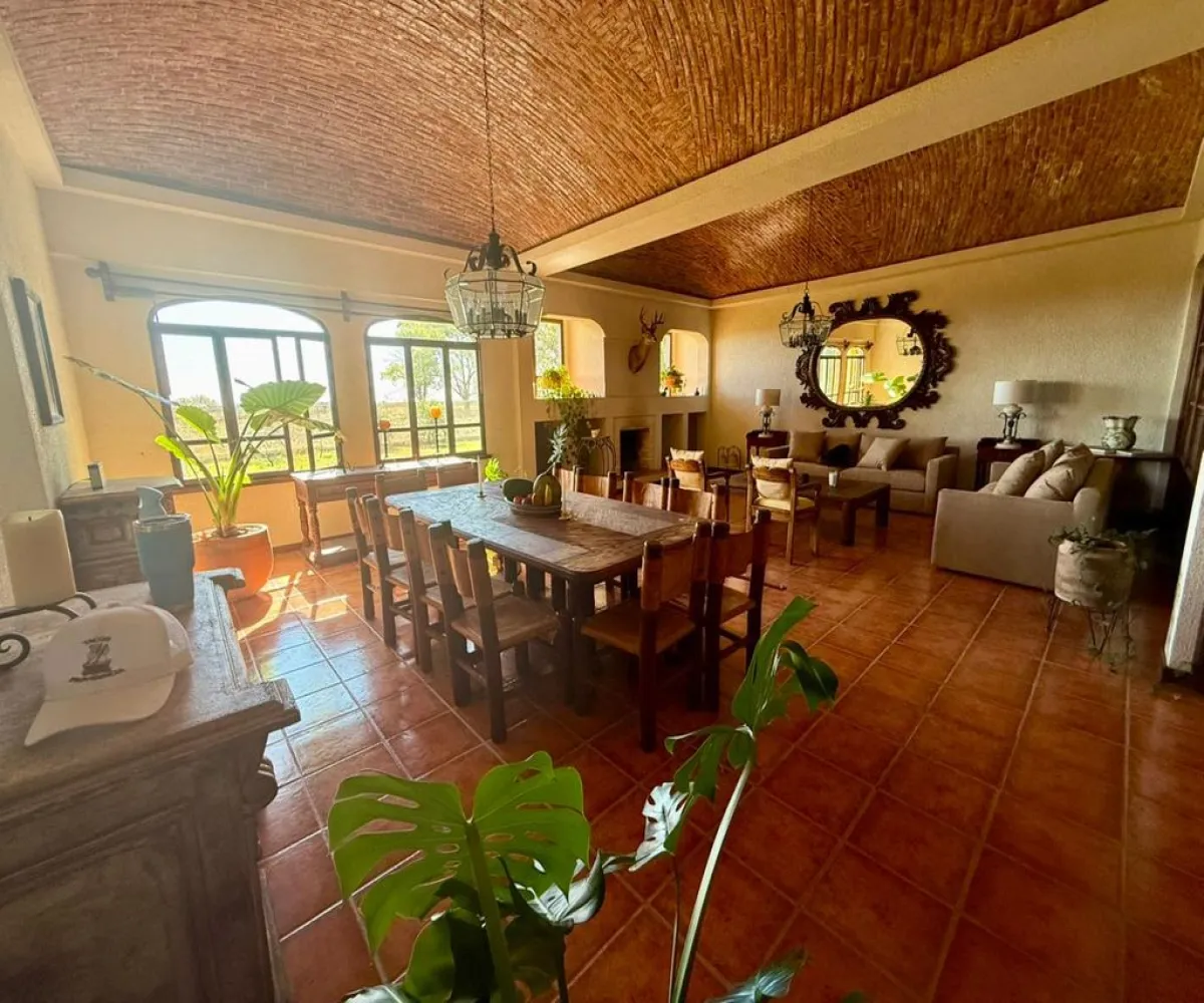 Terreno En Venta,Rancho el cueto S/N, Encarnación de Díaz, Jalisco 47270, 4 Habitaciones,4 Baños,Rancho el cueto,1,pPD1hNr