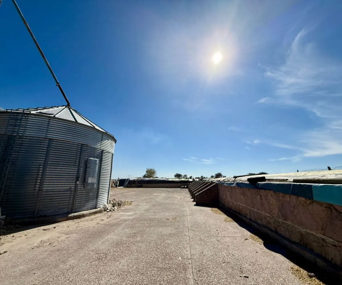 Terreno En Venta,Rancho el cueto S/N, Encarnación de Díaz, Jalisco 47270, 4 Habitaciones,4 Baños,Rancho el cueto,1,pPD1hNr