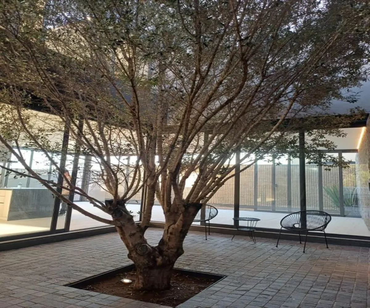 Casa En Venta,Cumbres del Lago,Avenida Lago de Juriquilla 411 1002, Querétaro, Querétaro 76230, 4 Habitaciones,4 Baños,Avenida Lago de Juriquilla,1,pp9T71C