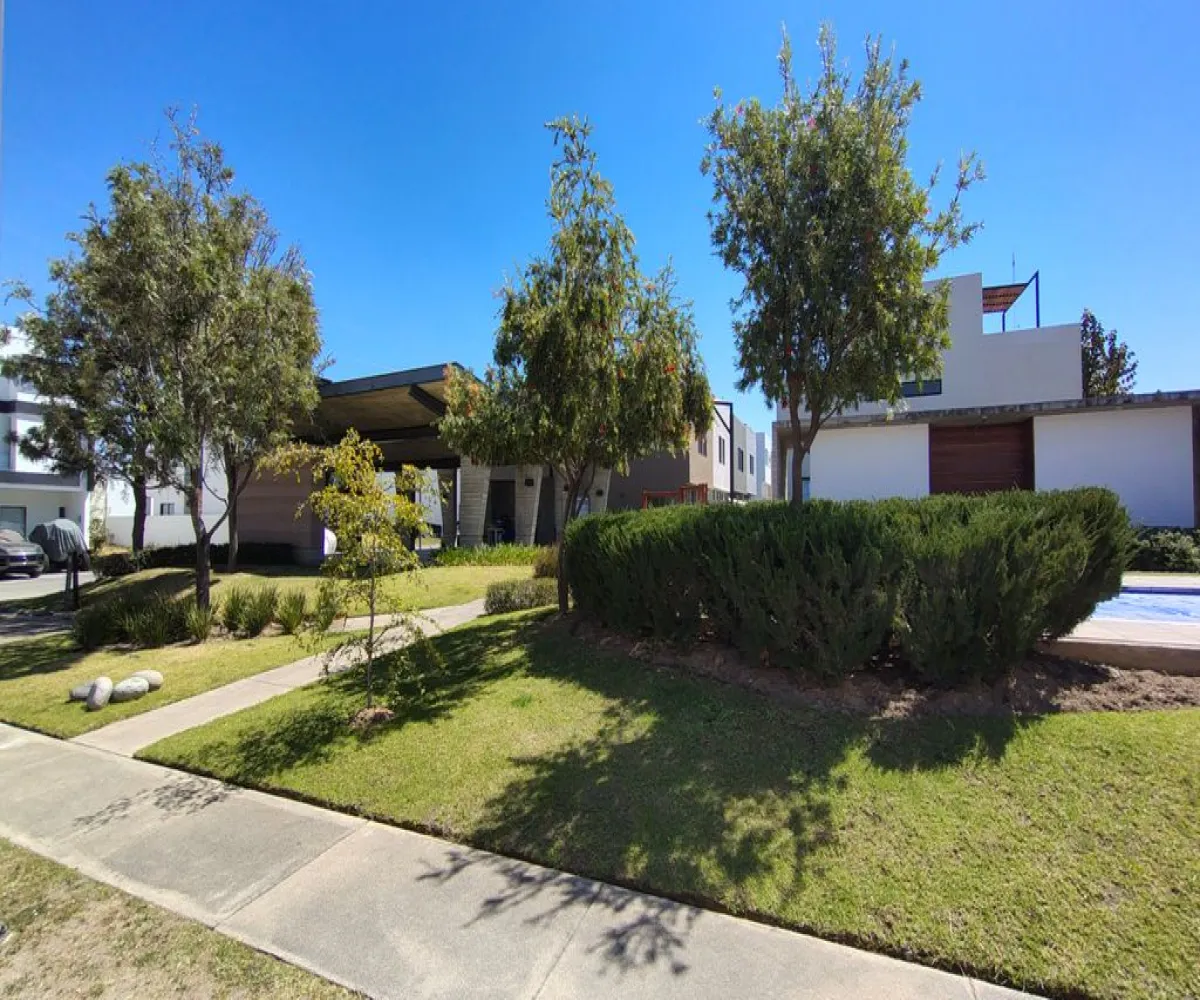 Terreno En Venta,Bosques Vallarta,PASEO DEL NORTE 3322 PARQUES VALLARTA S/N, Zapopan, Jalisco 45010,PASEO DEL NORTE 3322 PARQUES VALLARTA,p30vz5a