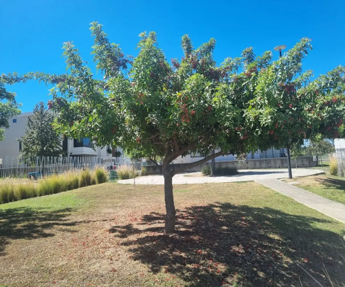 Casa En Venta,Parques Vallarta,Paseo del Norte 3322 87, Zapopan, Jalisco 45134, 4 Habitaciones,5 Baños,Paseo del Norte,1,pFdtoTe