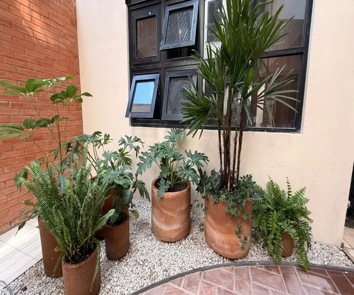 Departamento En Venta,Zapopan,Calle Emiliano Zapata 268 14, Zapopan, Jalisco 45160, 2 Habitaciones,2 Baños,Calle Emiliano Zapata,1,pQvylfN