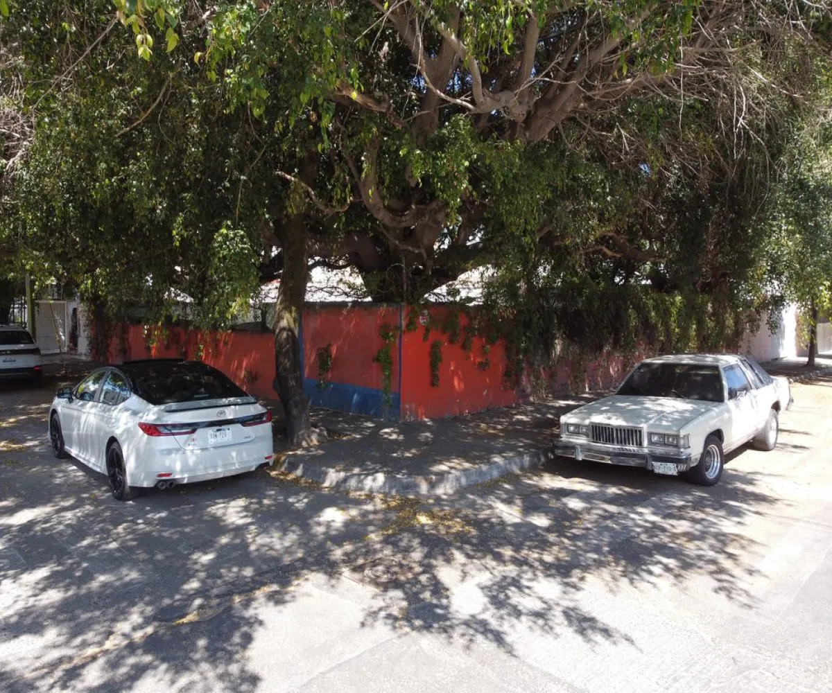 Terreno En Venta,Eucalipto Vallarta,Tiziano 5252, Zapopan, Jalisco 45020,Tiziano,pqfN2Ck