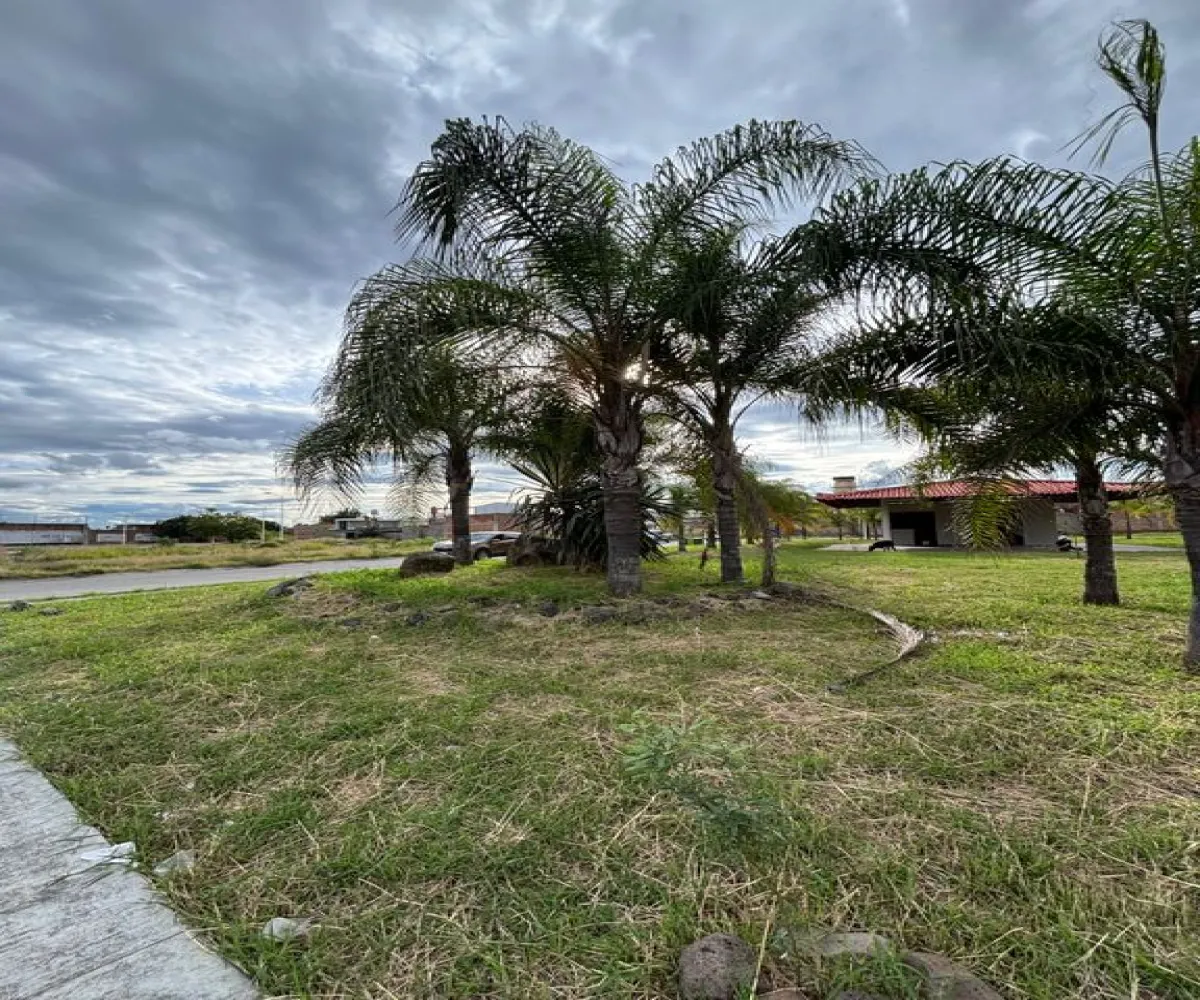 Terreno En Venta,Los Jazmines,Jazmín 21, Ocotlán, Jalisco 47800,Jazmín ,pSgMSJS