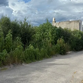 Terreno En Venta,Los Jazmines,Jazmín 21, Ocotlán, Jalisco 47800,Jazmín ,pSgMSJS