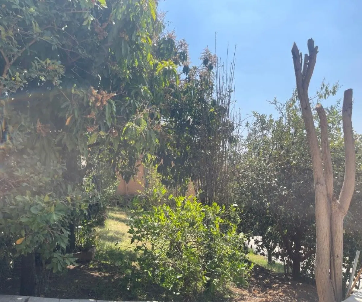 Casa En Venta,PARAISO LAS TORTUGAS ,ISLA MARTINICA 7, El Arenal, Jalisco 45350, 2 Habitaciones,3 Baños,ISLA MARTINICA ,1,pEo5IDZ