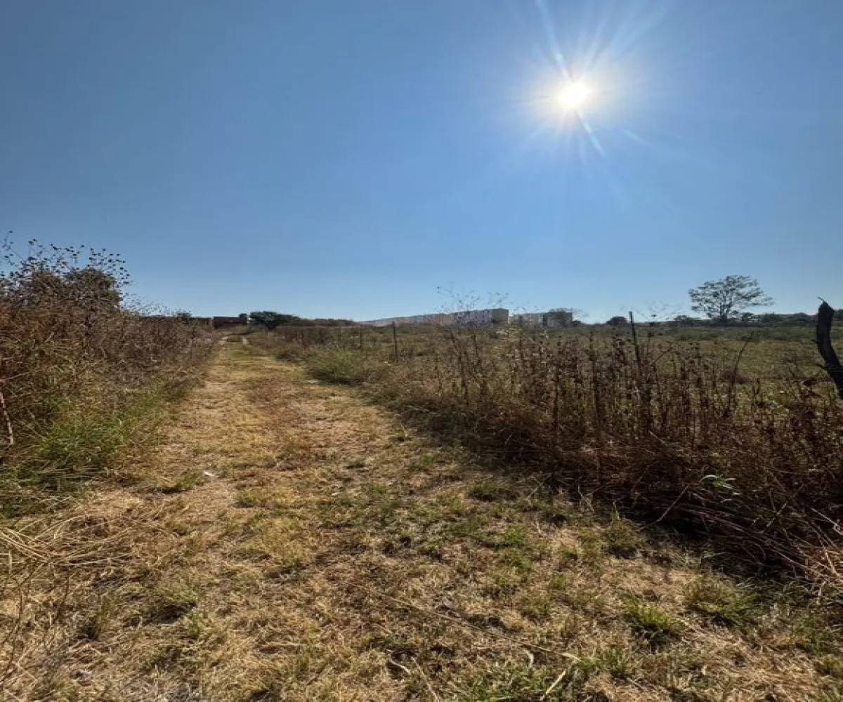 Terreno En Venta,Albaterra,Boulevard El Taray S/N, Zapopan, Jalisco 45200,Boulevard El Taray,p25PUzi