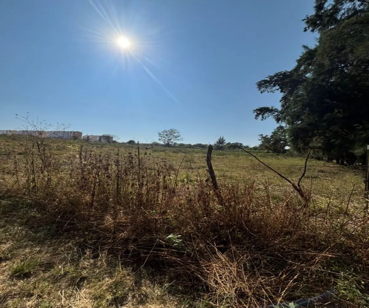 Terreno En Venta,Albaterra,Boulevard El Taray S/N, Zapopan, Jalisco 45200,Boulevard El Taray,p25PUzi