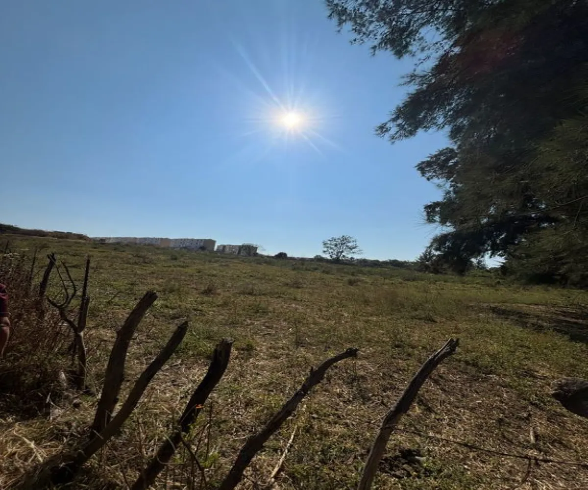 Terreno En Venta,Albaterra,Boulevard El Taray S/N, Zapopan, Jalisco 45200,Boulevard El Taray,p25PUzi