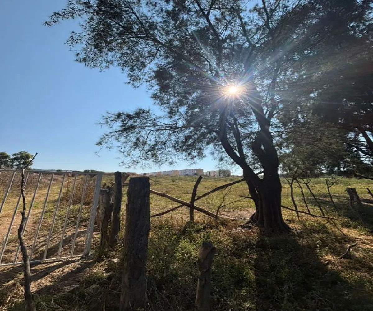 Terreno En Venta,Albaterra,Boulevard El Taray S/N, Zapopan, Jalisco 45200,Boulevard El Taray,p25PUzi