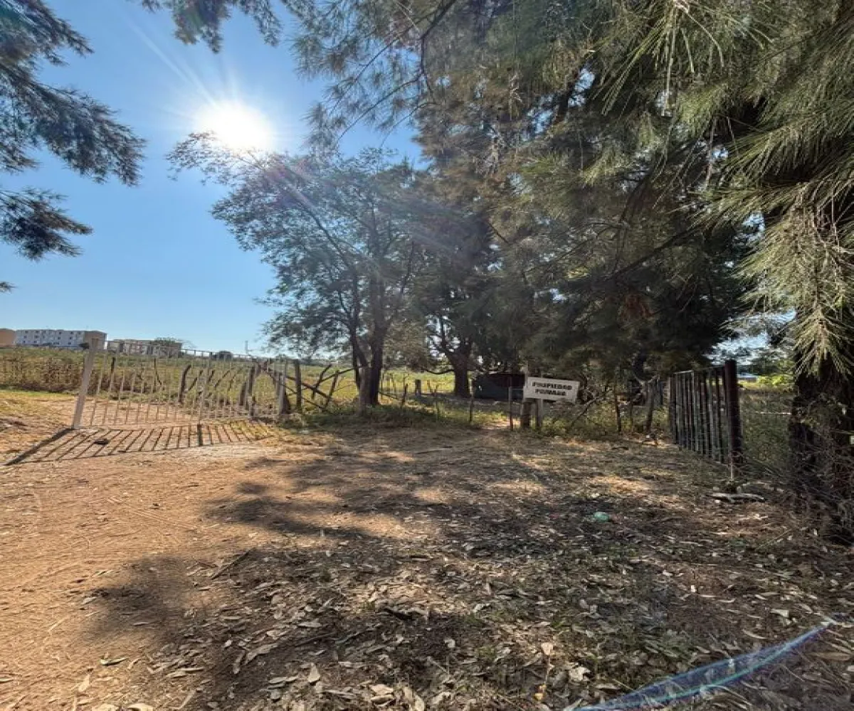 Terreno En Venta,Albaterra,Boulevard El Taray S/N, Zapopan, Jalisco 45200,Boulevard El Taray,p25PUzi