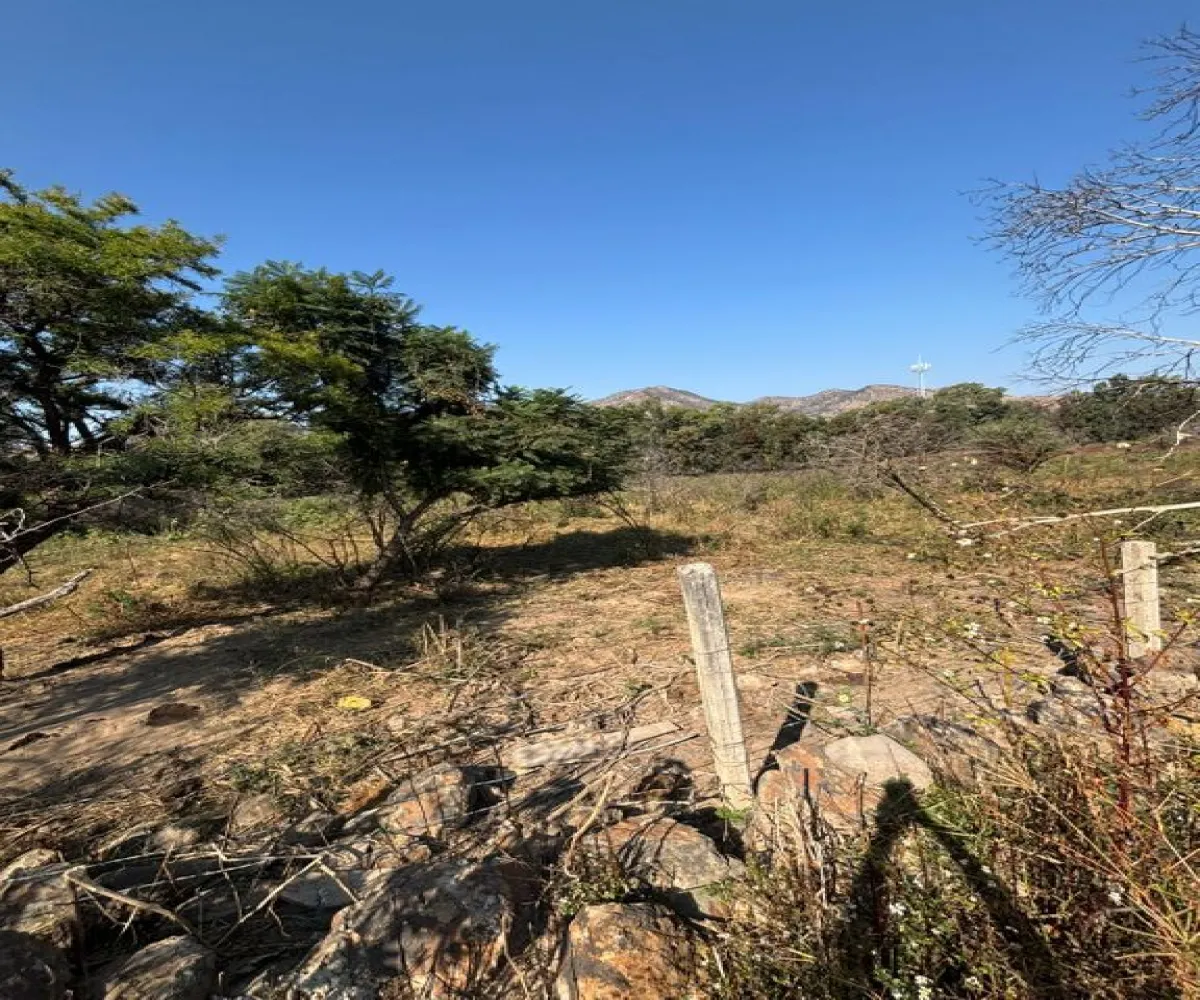 Terreno En Venta,Albaterra,Boulevard El Taray S/N, Zapopan, Jalisco 45200,Boulevard El Taray,p25PUzi