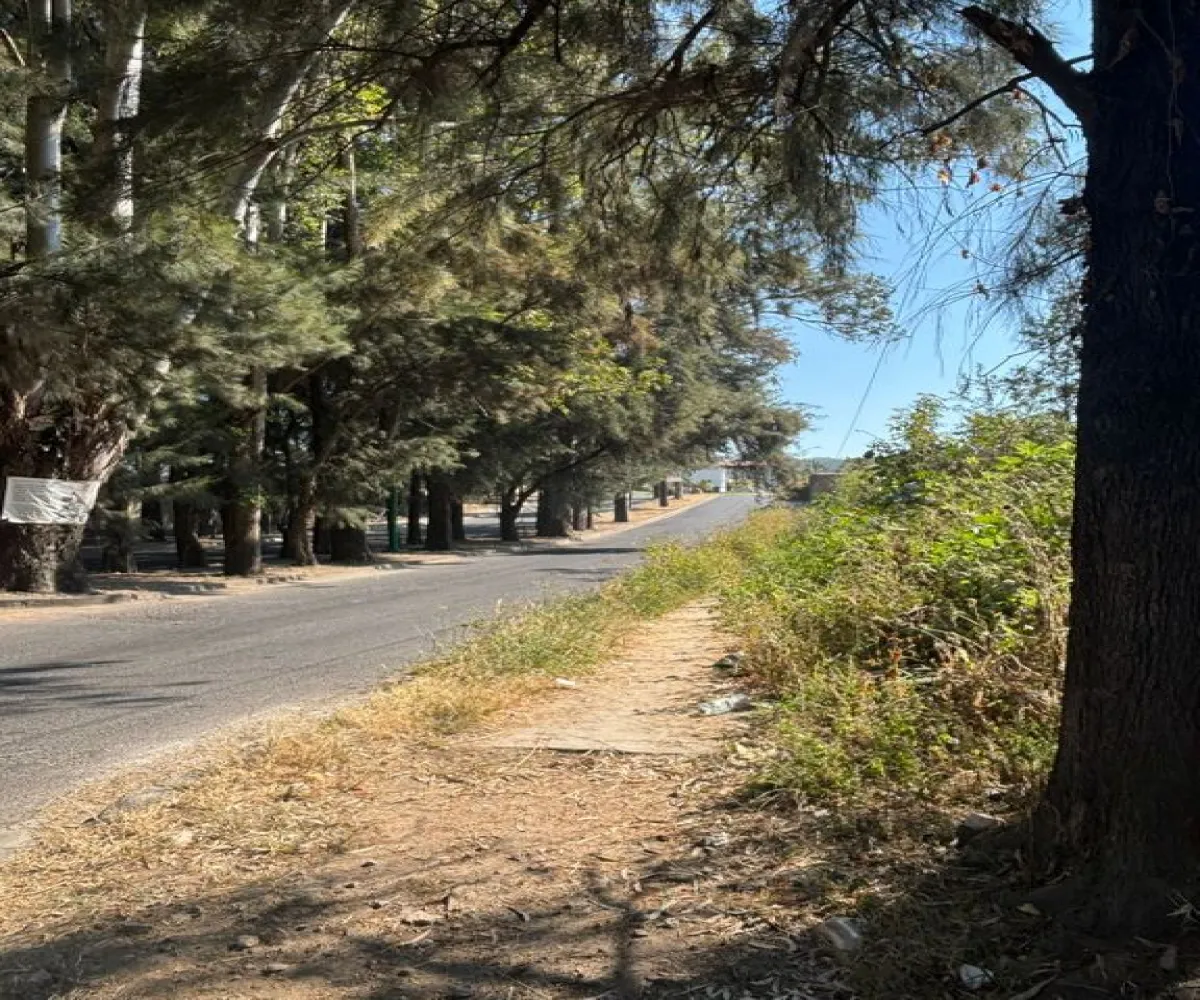 Terreno En Venta,Albaterra,Boulevard El Taray S/N, Zapopan, Jalisco 45200,Boulevard El Taray,p25PUzi