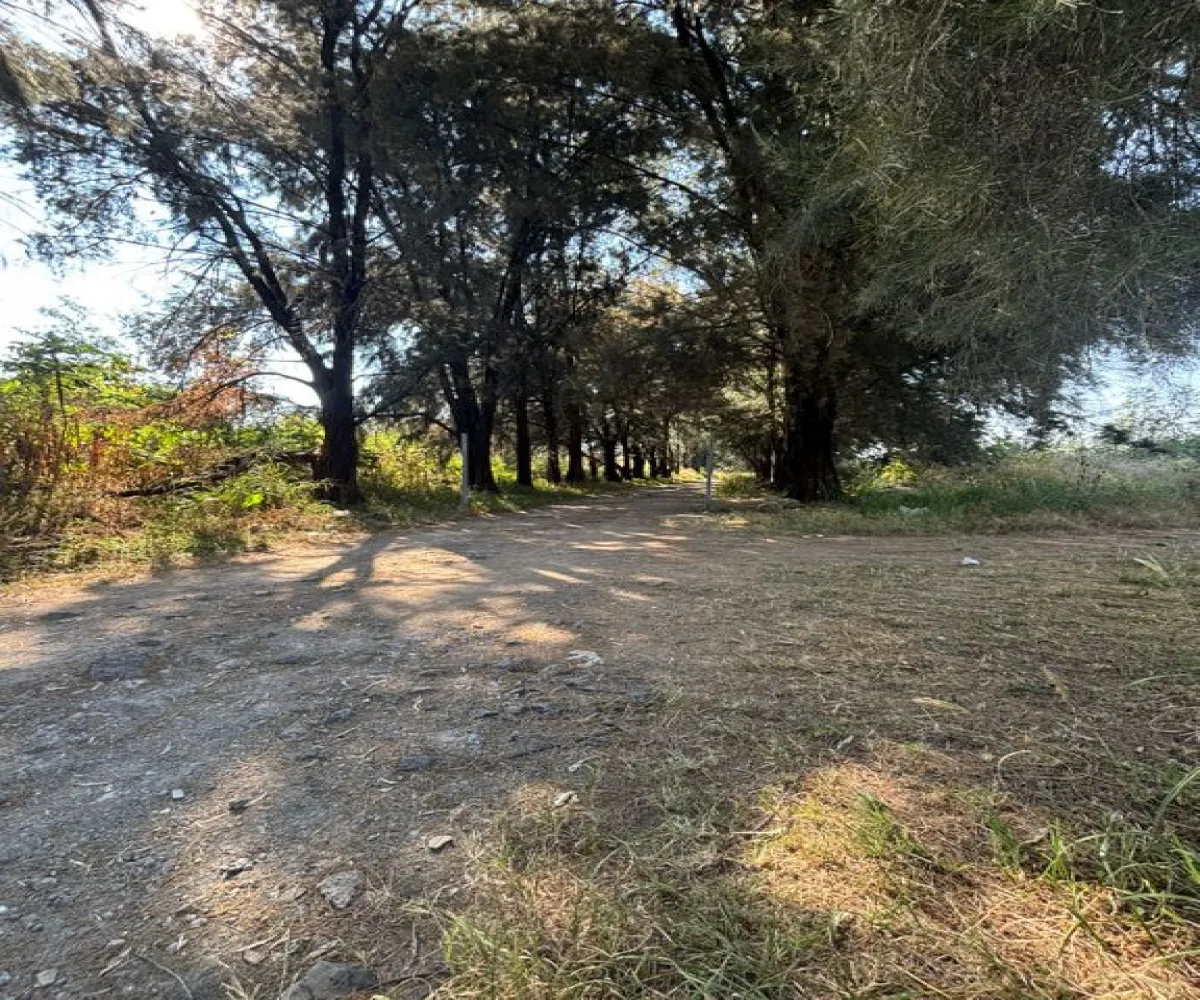 Terreno En Venta,Albaterra,Boulevard El Taray S/N, Zapopan, Jalisco 45200,Boulevard El Taray,p25PUzi