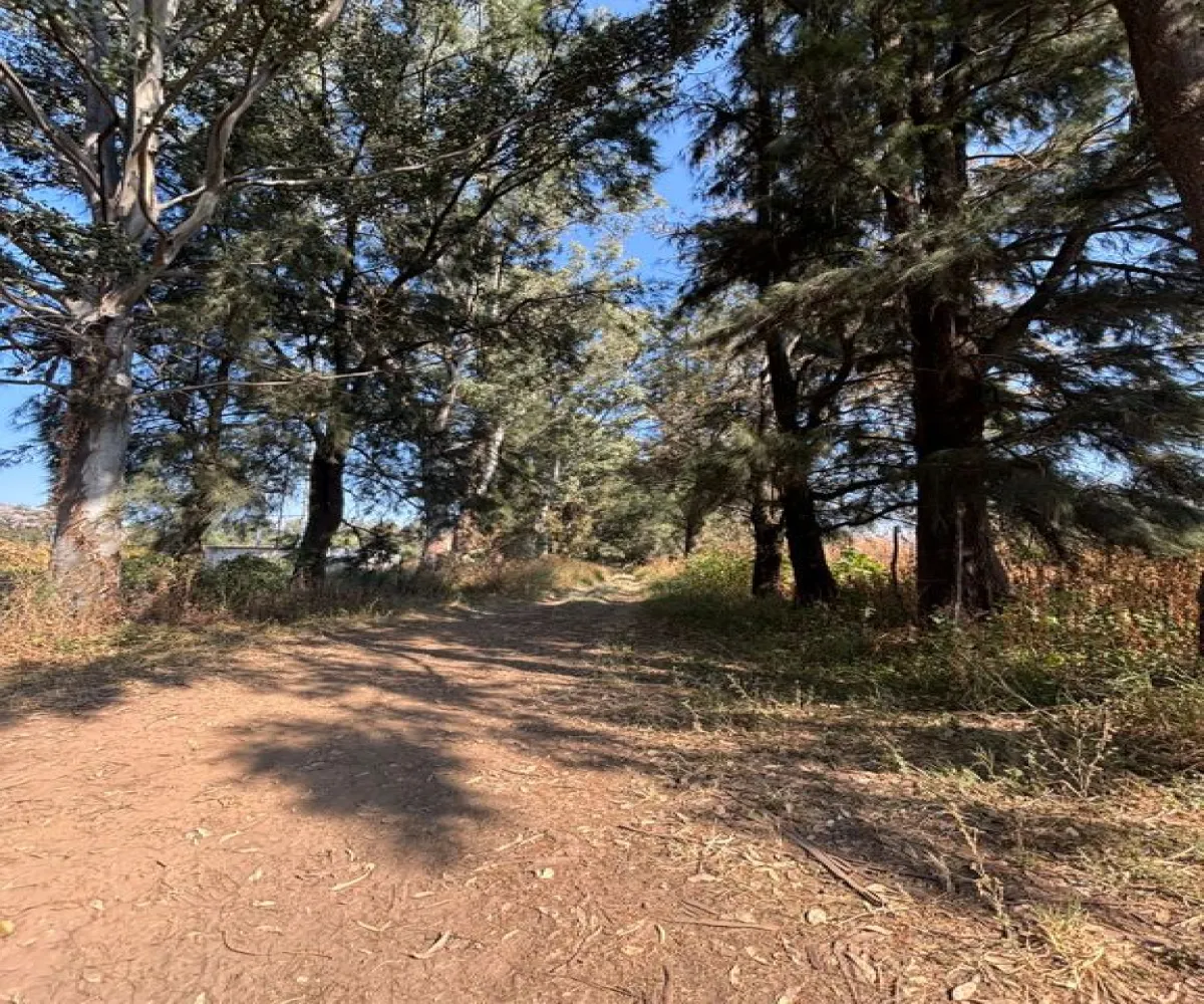 Terreno En Venta,Albaterra,Boulevard El Taray S/N, Zapopan, Jalisco 45200,Boulevard El Taray,p25PUzi