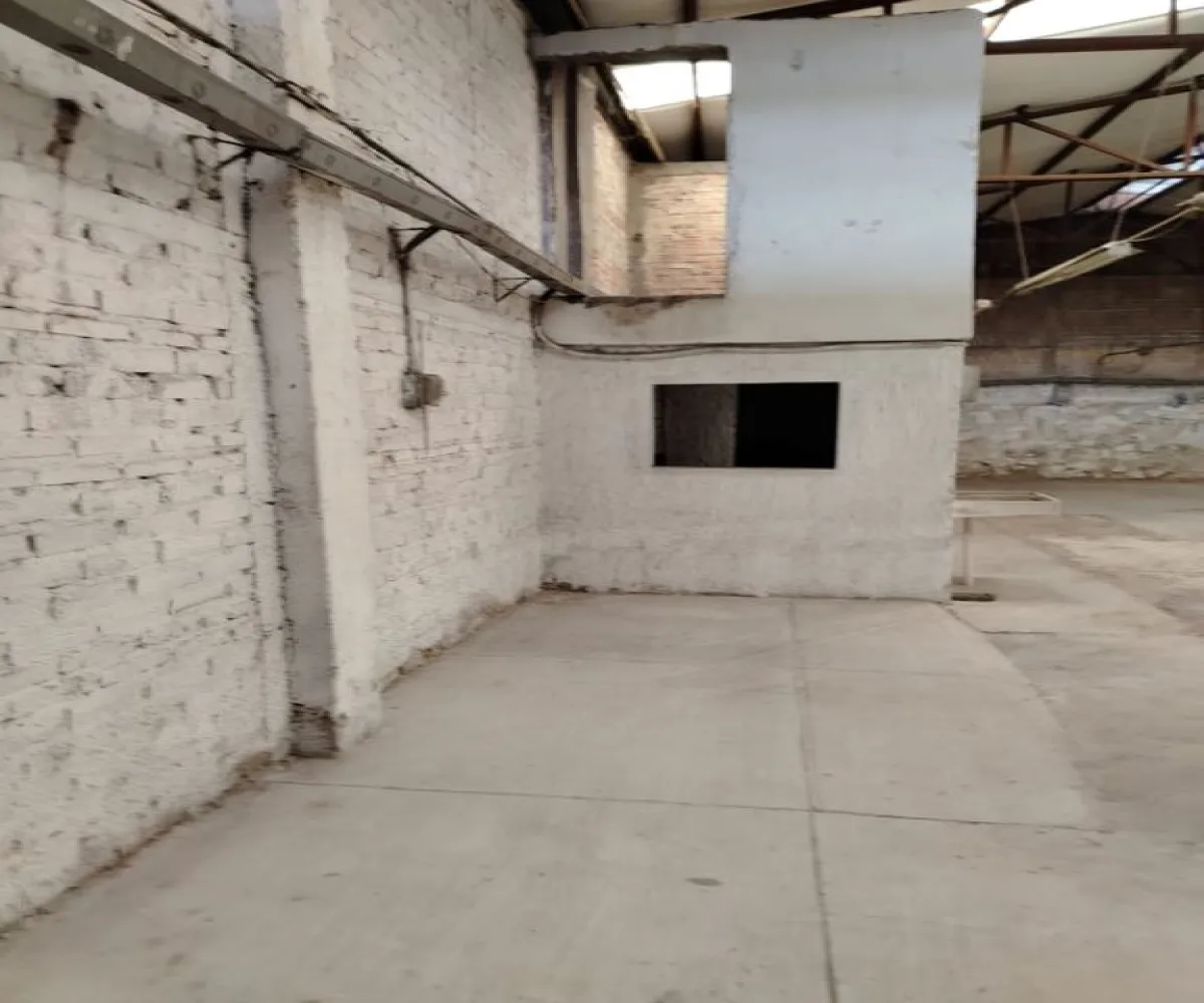 Bodega En Renta,la esperanza,sabiduria 567, Guadalajara, Jalisco 44300,sabiduria ,1,p1bkNS0