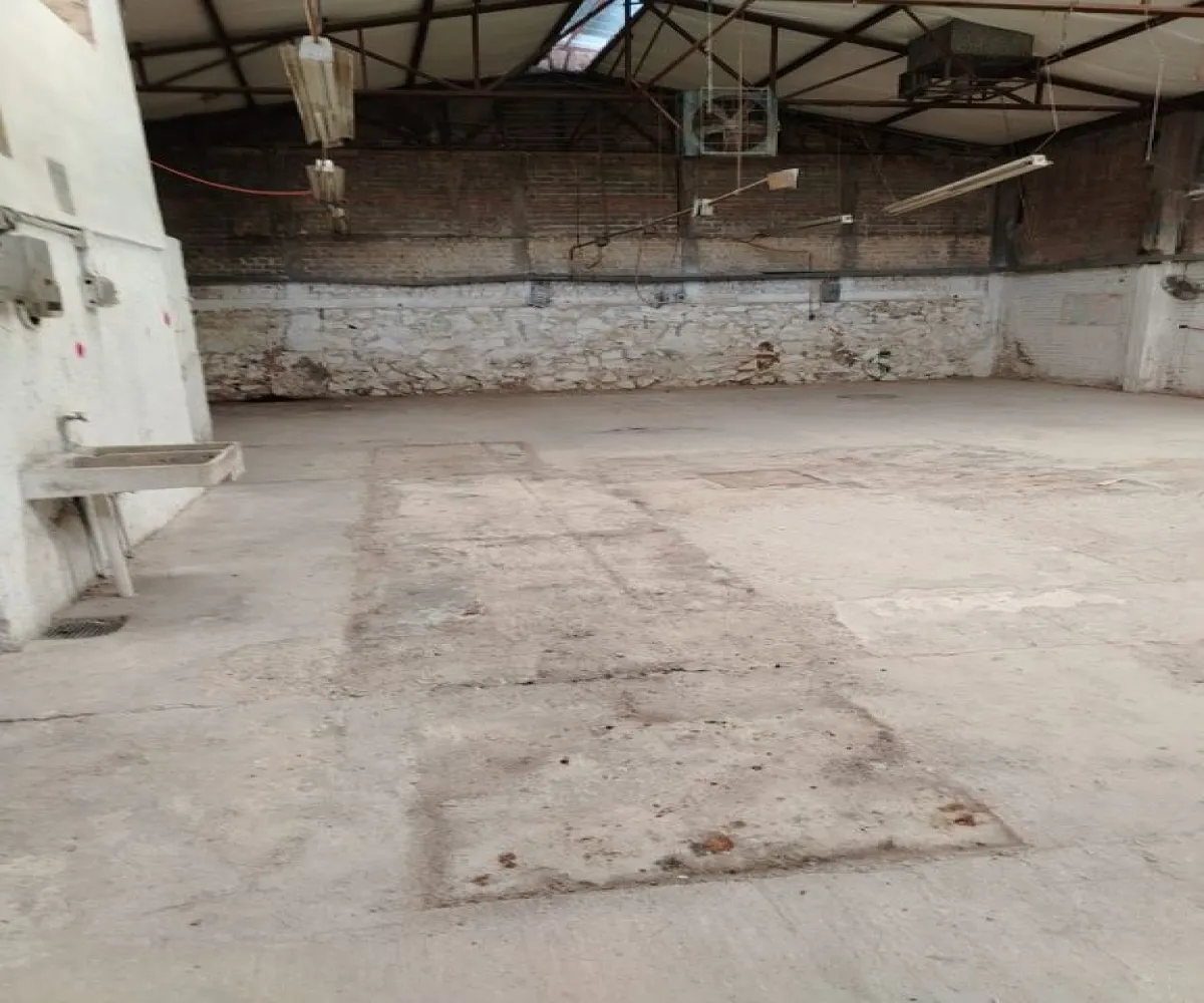 Bodega En Renta,la esperanza,sabiduria 567, Guadalajara, Jalisco 44300,sabiduria ,1,p1bkNS0