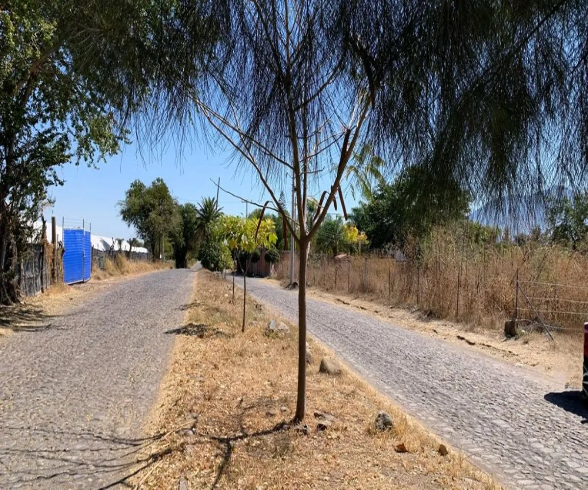 Terreno En Venta,Avenida de la Carpa S/N, Jocotepec, Jalisco 45803,Avenida de la Carpa,pcR3O9w