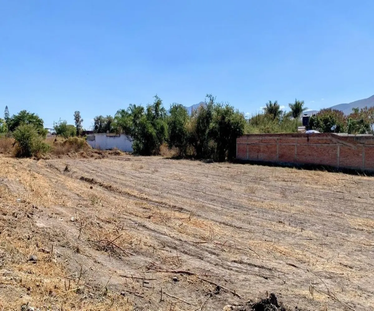 Terreno En Venta,Avenida de la Carpa S/N, Jocotepec, Jalisco 45803,Avenida de la Carpa,pcR3O9w