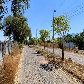 Terreno En Venta,Avenida de la Carpa S/N, Jocotepec, Jalisco 45803,Avenida de la Carpa,phjK0RI