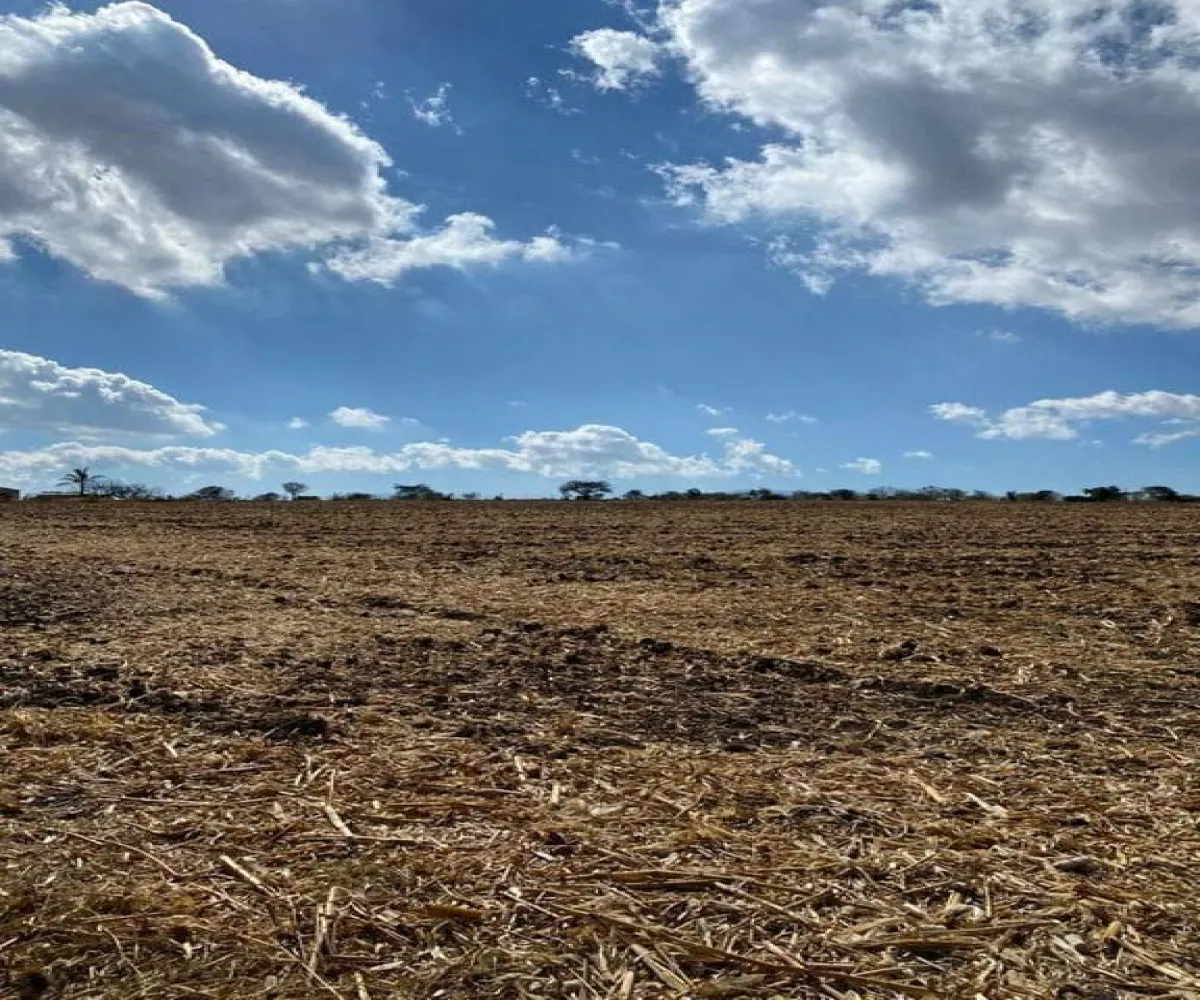 Terreno En Venta,El Zapote,Calle Capulin S/N, Tlajomulco de Zúñiga, Jalisco 45640,Calle Capulin,pVUBuaL