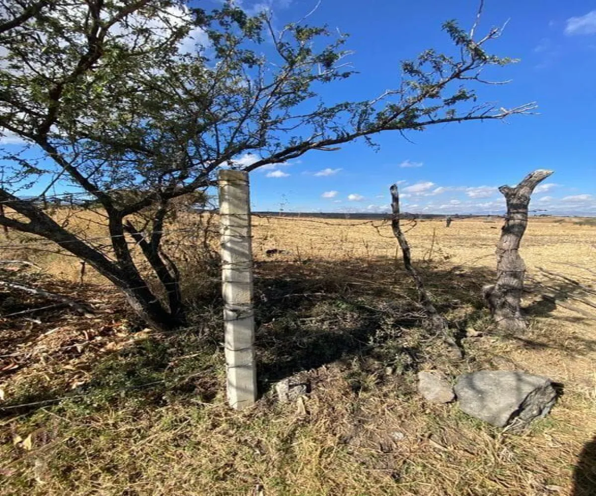 Terreno En Venta,El Zapote,Calle Capulin S/N, Tlajomulco de Zúñiga, Jalisco 45640,Calle Capulin,pVUBuaL