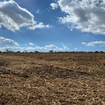 Terreno En Venta,El Zapote,Calle Capulin S/N, Tlajomulco de Zúñiga, Jalisco 45640,Calle Capulin,pVUBuaL