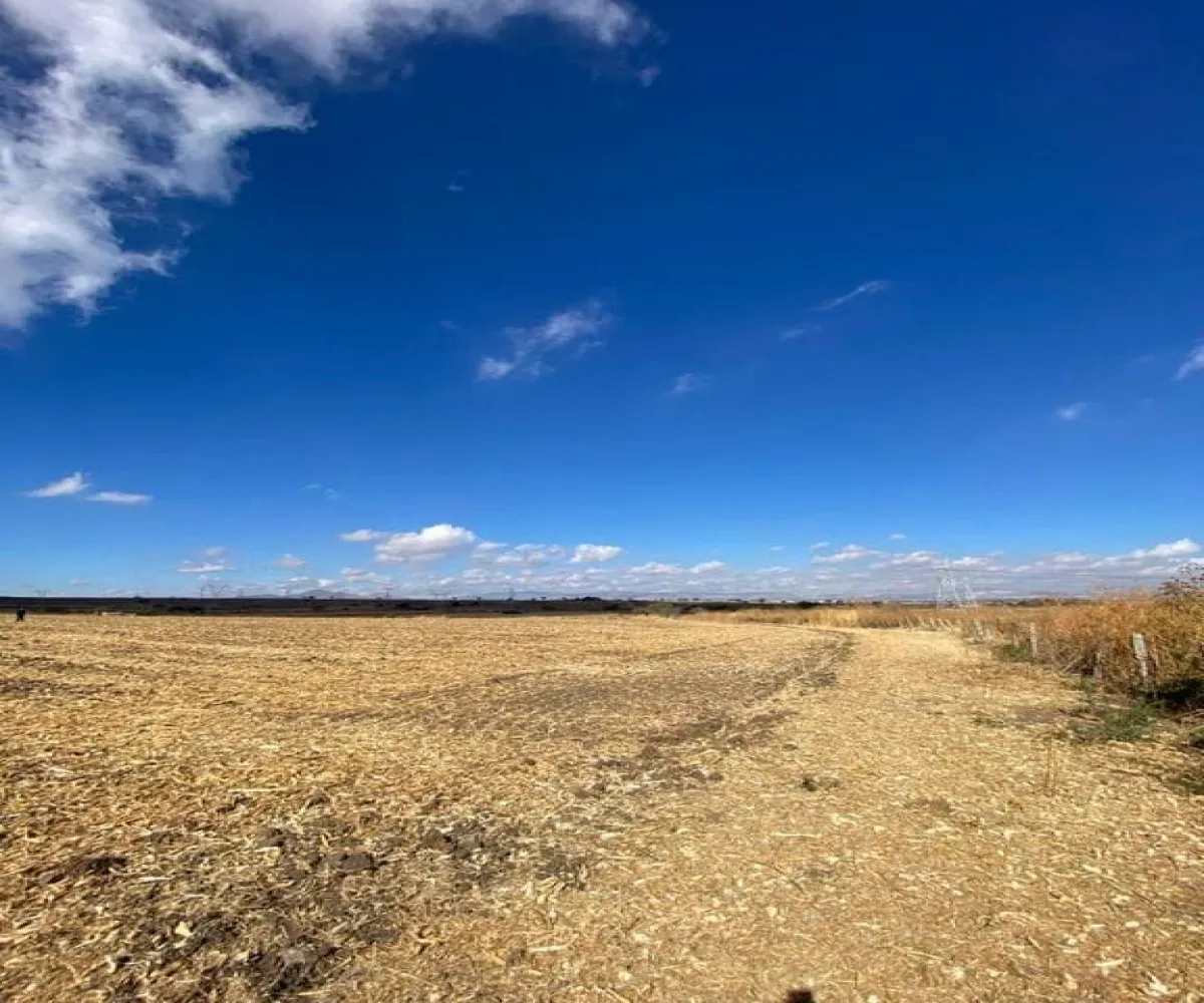 Terreno En Venta,El Zapote,Calle Capulin S/N, Tlajomulco de Zúñiga, Jalisco 45640,Calle Capulin,pVUBuaL