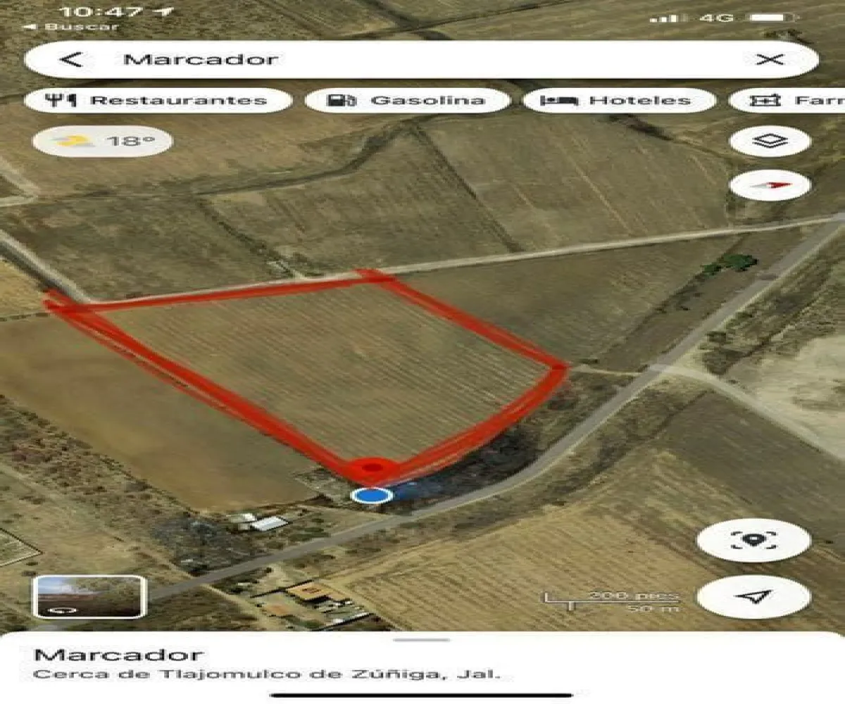 Terreno En Venta,El Zapote,Calle Capulin S/N, Tlajomulco de Zúñiga, Jalisco 45640,Calle Capulin,pVUBuaL