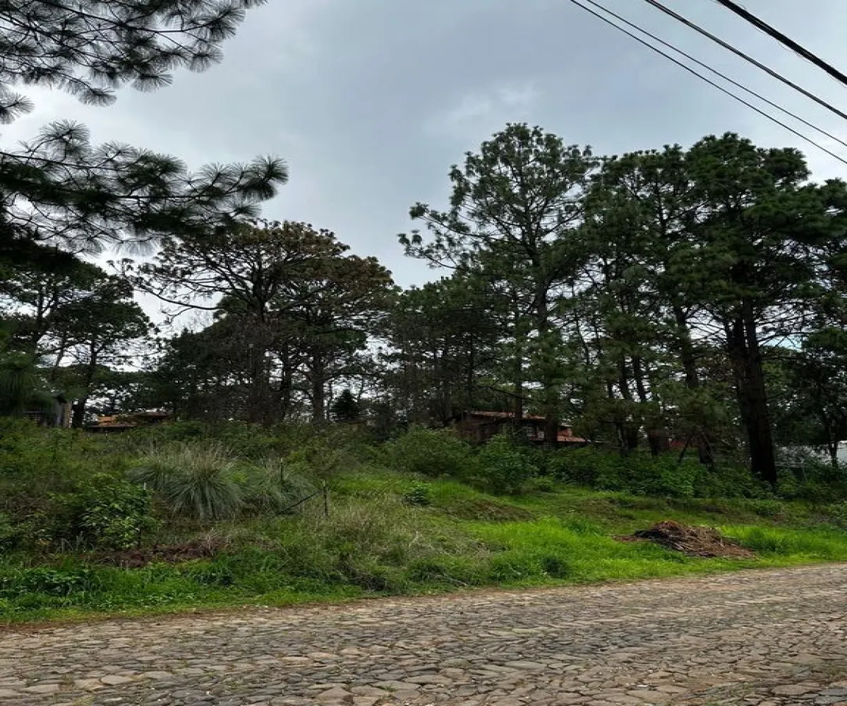 Terreno En Venta,La Prepa,Galeana 12, Mazamitla, Jalisco 49500,Galeana,pJS7odZ