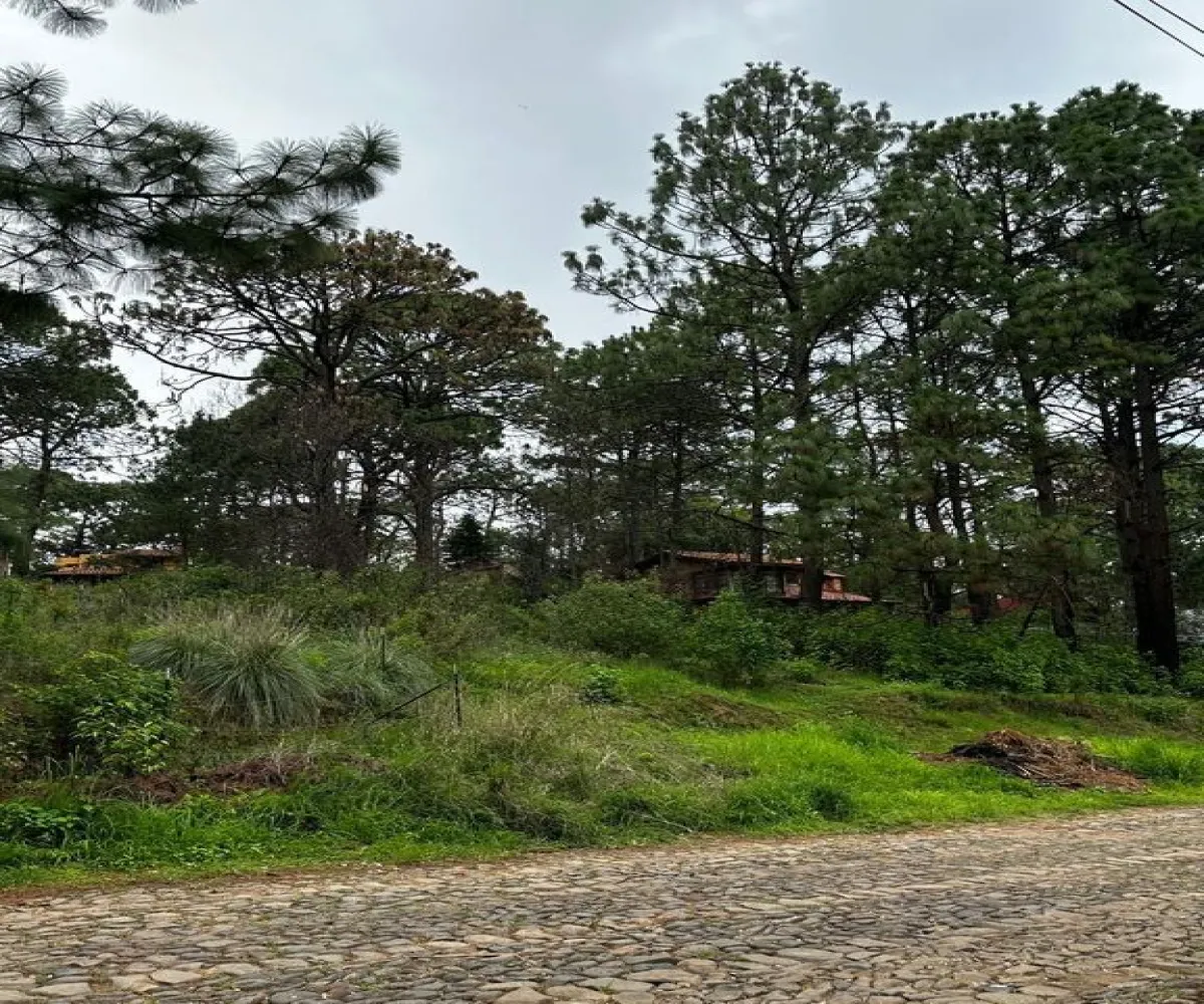 Terreno En Venta,La Prepa,Galeana 12, Mazamitla, Jalisco 49500,Galeana,pJS7odZ
