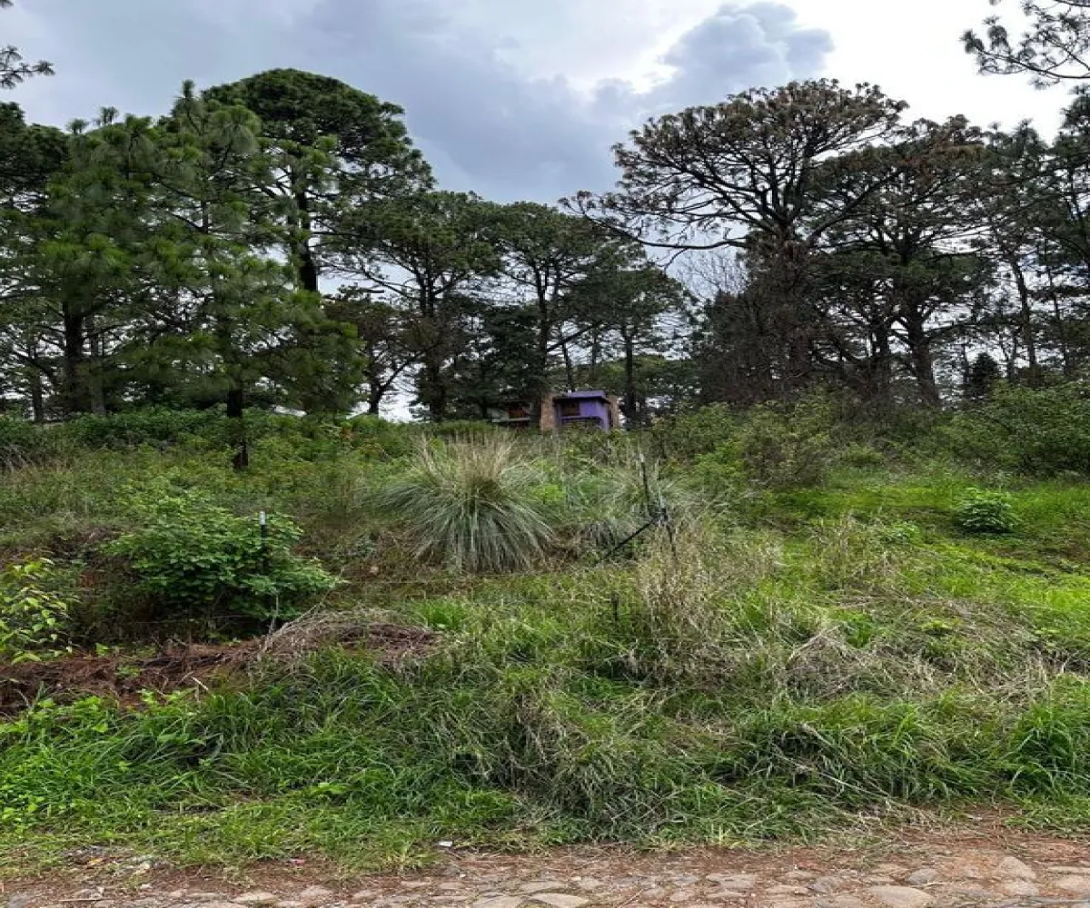 Terreno En Venta,La Prepa,Galeana 12, Mazamitla, Jalisco 49500,Galeana,pJS7odZ