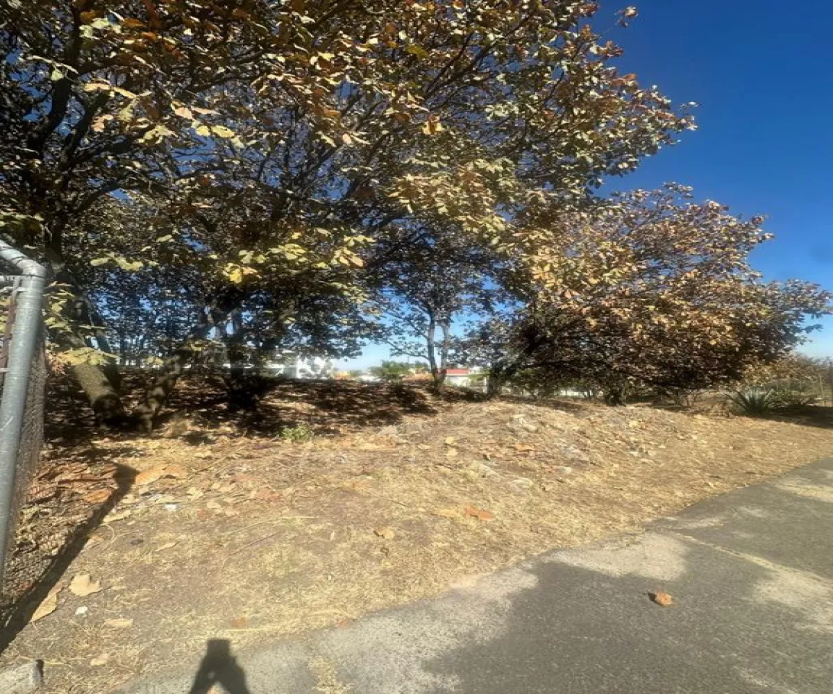 Terreno En Venta,Bugambilias,Boulevard Bugambilias 4460, Zapopan, Jalisco 45237,Boulevard Bugambilias,pE0GatZ