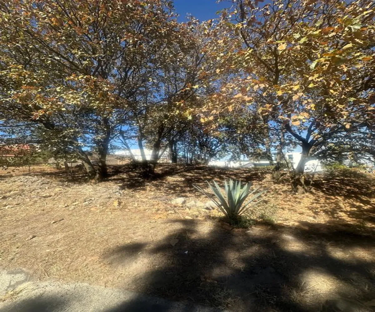 Terreno En Venta,Bugambilias,Boulevard Bugambilias 4460, Zapopan, Jalisco 45237,Boulevard Bugambilias,pE0GatZ