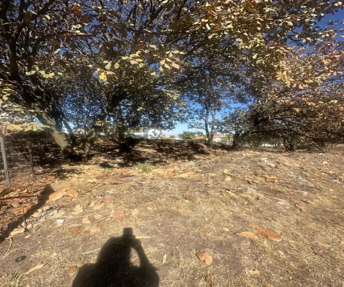 Terreno En Venta,Bugambilias,Boulevard Bugambilias 4460, Zapopan, Jalisco 45237,Boulevard Bugambilias,pE0GatZ