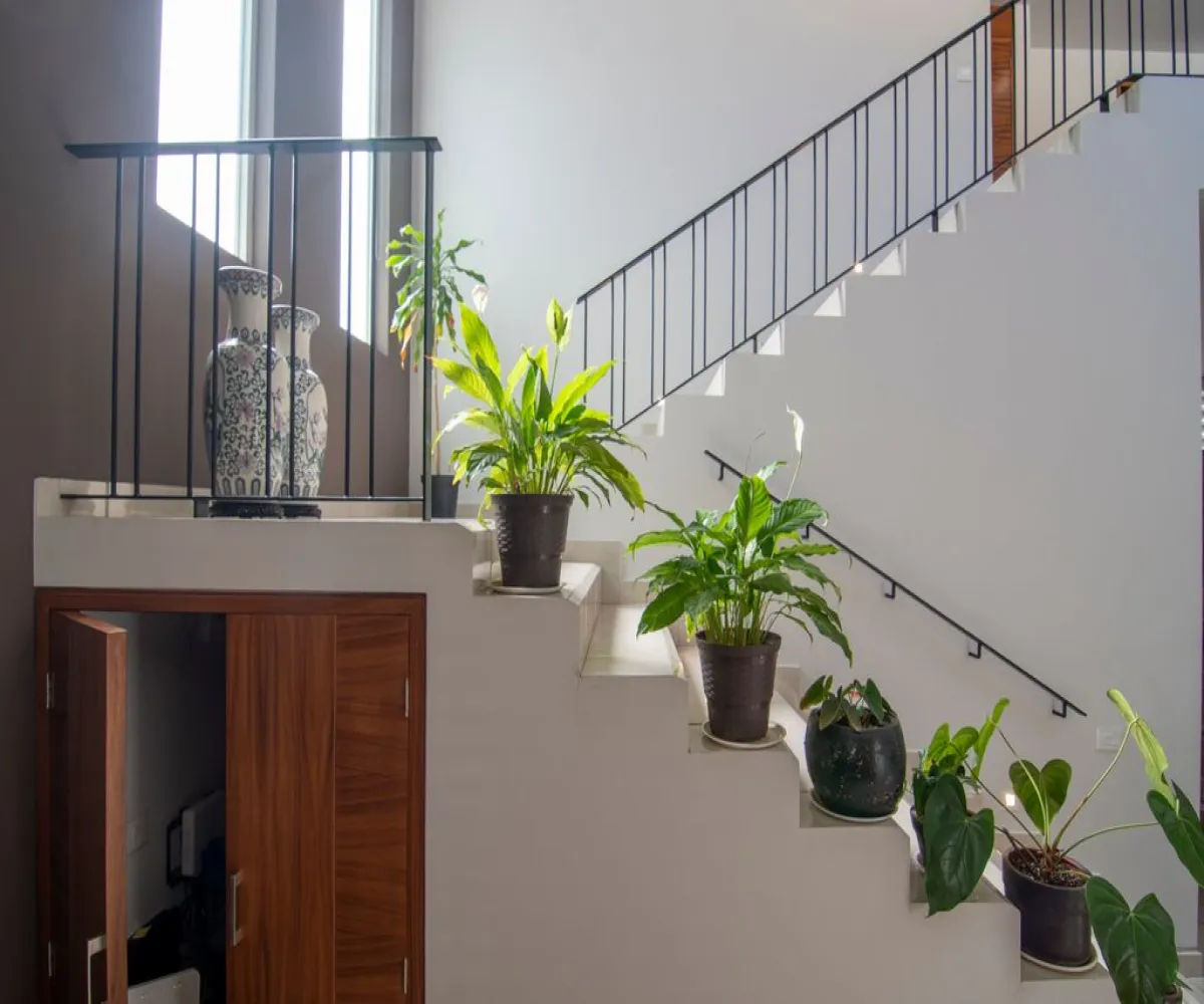 Casa En Venta,Paseo de Las Aves y Jardines de San Sebastián,Rinconada Santa Anita S/N, Tlajomulco de Zúñiga, Jalisco 45650, 1 Cuarto,1 Baño,Rinconada Santa Anita,1,pQ6ZyVZ