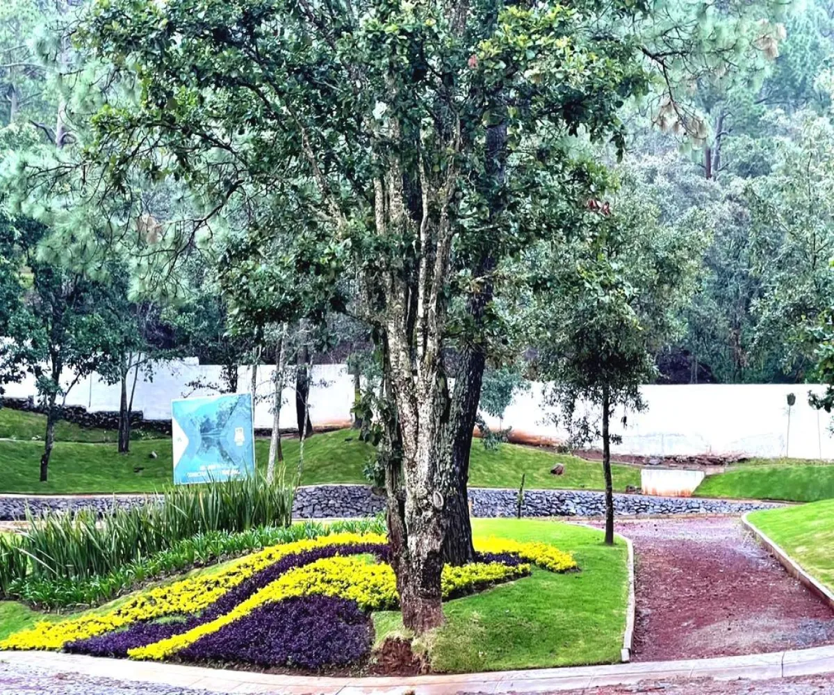 Terreno En Venta,Lomas Verdes,Avenida Conalep S/N, Mazamitla, Jalisco 49500,Avenida Conalep,pbpIwZ6