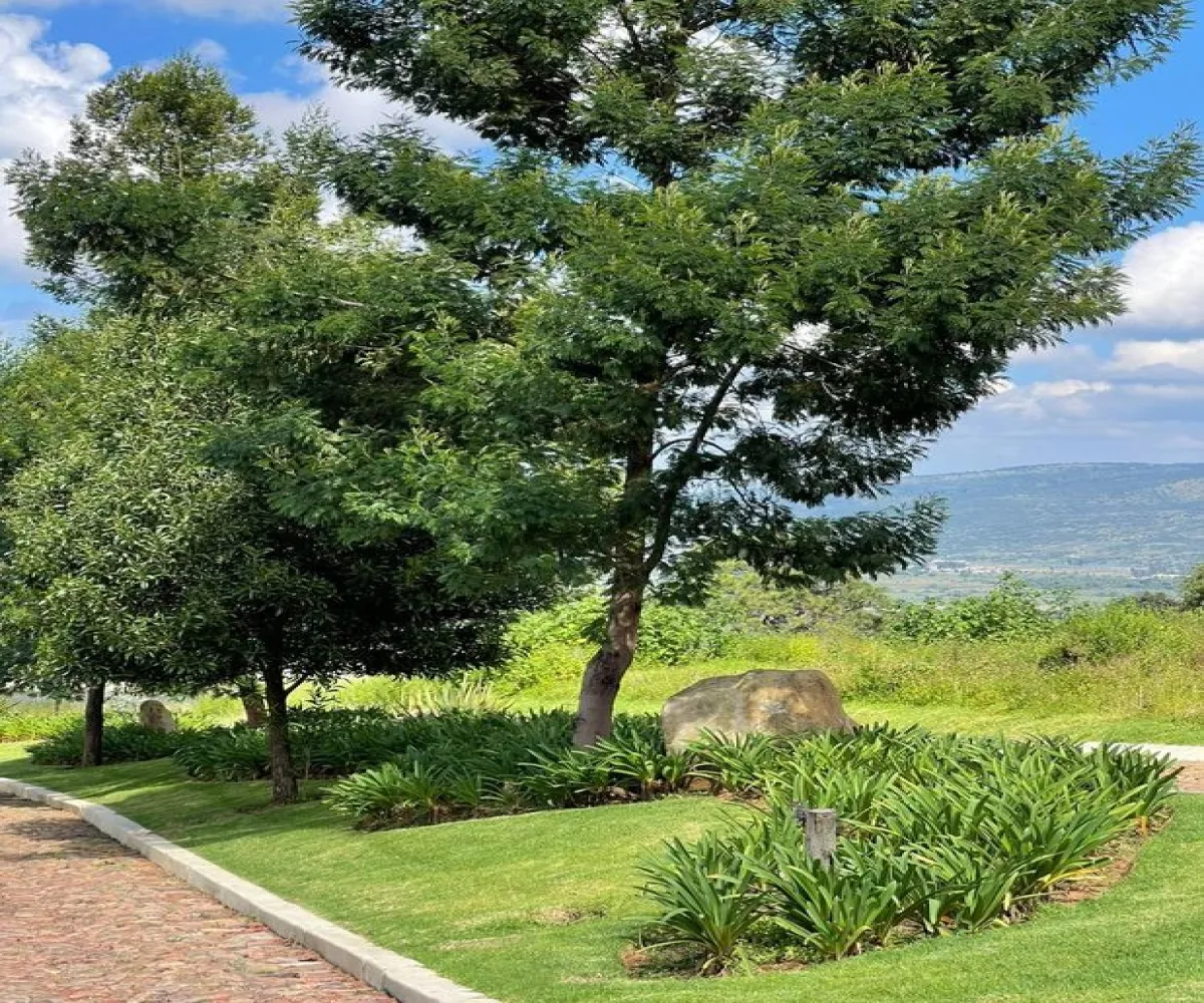 Terreno En Venta,Lomas Verdes,Avenida Conalep S/N, Mazamitla, Jalisco 49500,Avenida Conalep,pbpIwZ6