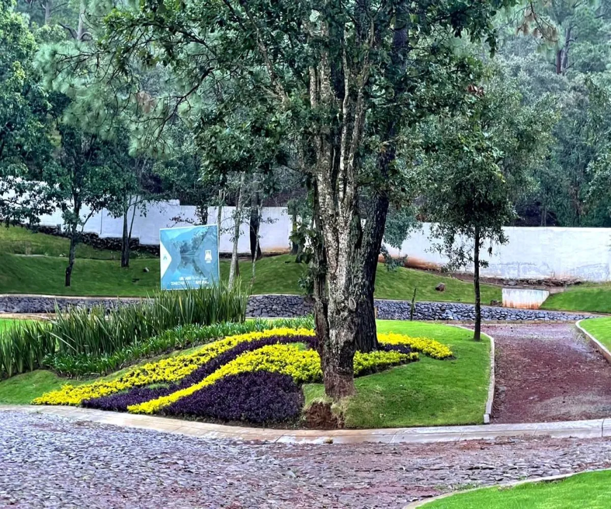 Terreno En Venta,Lomas Verdes,Avenida Conalep S/N, Mazamitla, Jalisco 49500,Avenida Conalep,pbpIwZ6