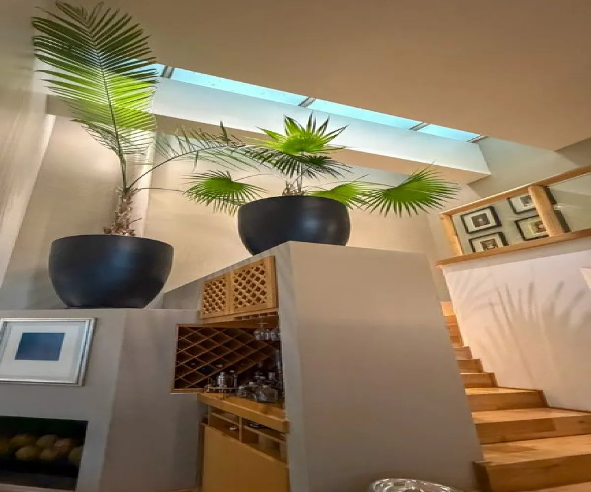 Casa En Renta,Valle Real,Paseo San Arturo Poniente 101, Zapopan, Jalisco 45019, 4 Habitaciones,4 Baños,Paseo San Arturo Poniente,1,phwEpgX