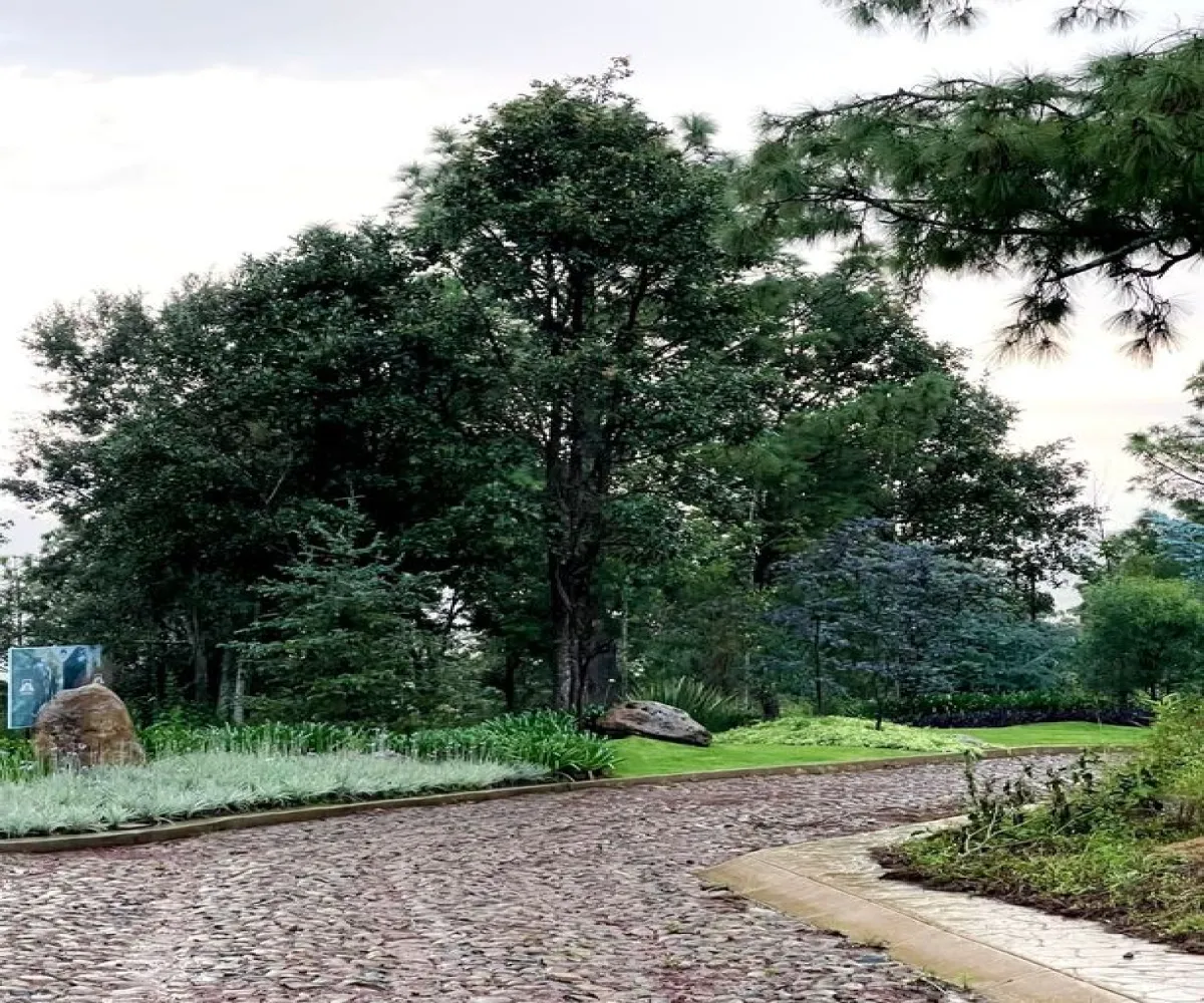 Terreno En Venta,Lomas Verdes,Avenida Conalep S/N, Mazamitla, Jalisco 49500,Avenida Conalep,p1J2MTl