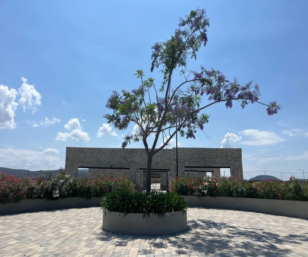 Terreno En Venta,Nextipac,Carretera la Venta-Nextipac 100 35, Zapopan, Jalisco,Carretera la Venta-Nextipac,pQHMk9U