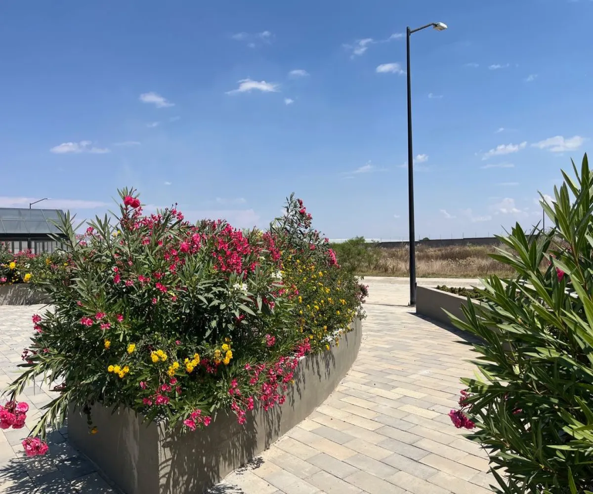 Terreno En Venta,Nextipac,Carretera la Venta-Nextipac 100 35, Zapopan, Jalisco,Carretera la Venta-Nextipac,pQHMk9U