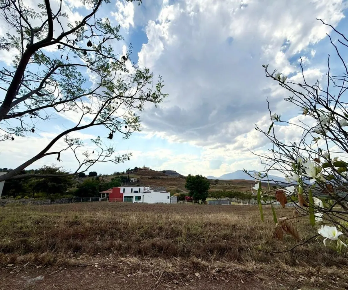 Terreno En Venta,Santa Sofía,Autopista Guadalajara - Tepic 11, El Arenal, Jalisco 45350,Autopista Guadalajara - Tepic,pKsBp5J