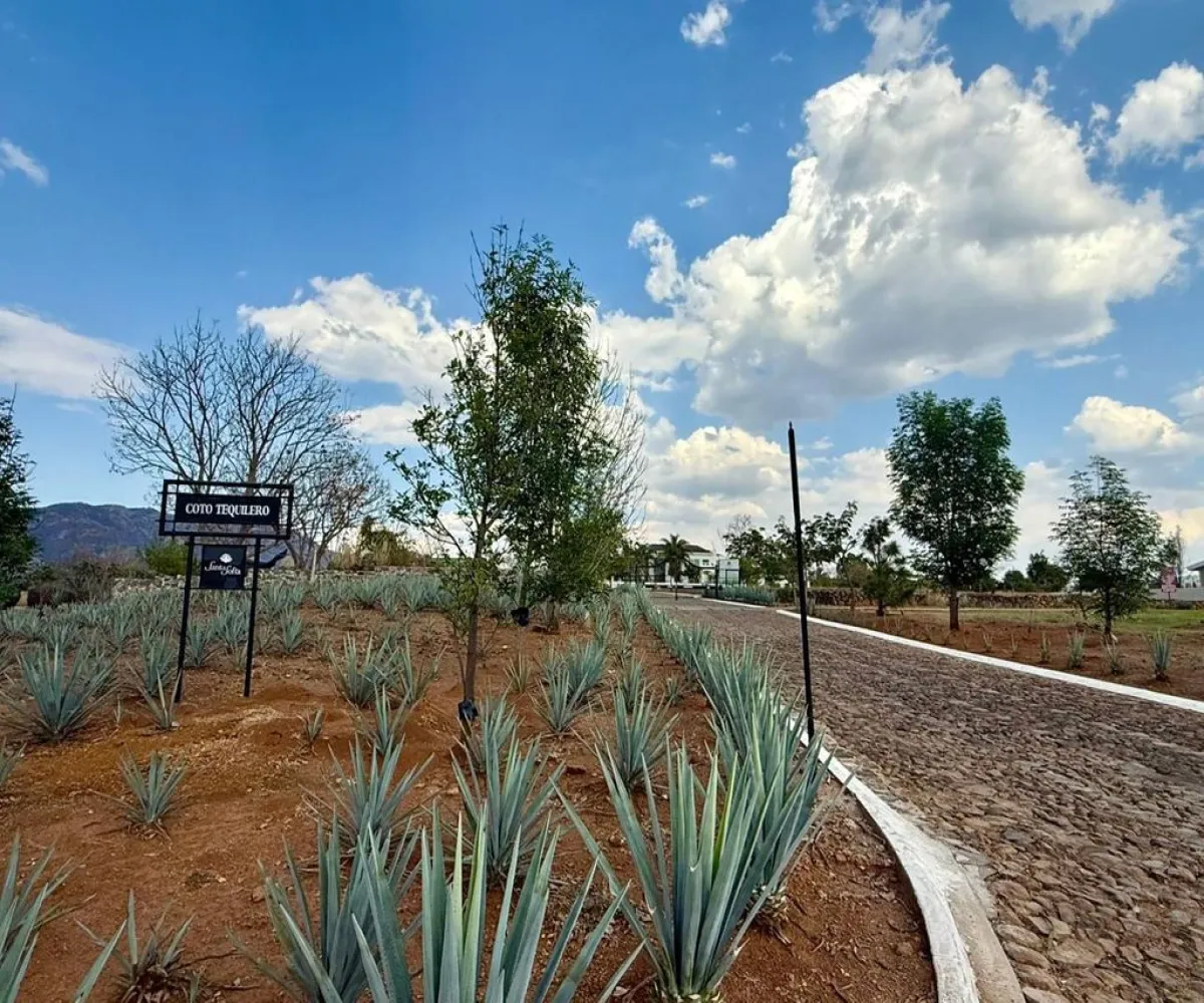 Terreno En Venta,Santa Sofía,Autopista Guadalajara - Tepic 11, El Arenal, Jalisco 45350,Autopista Guadalajara - Tepic,pKsBp5J