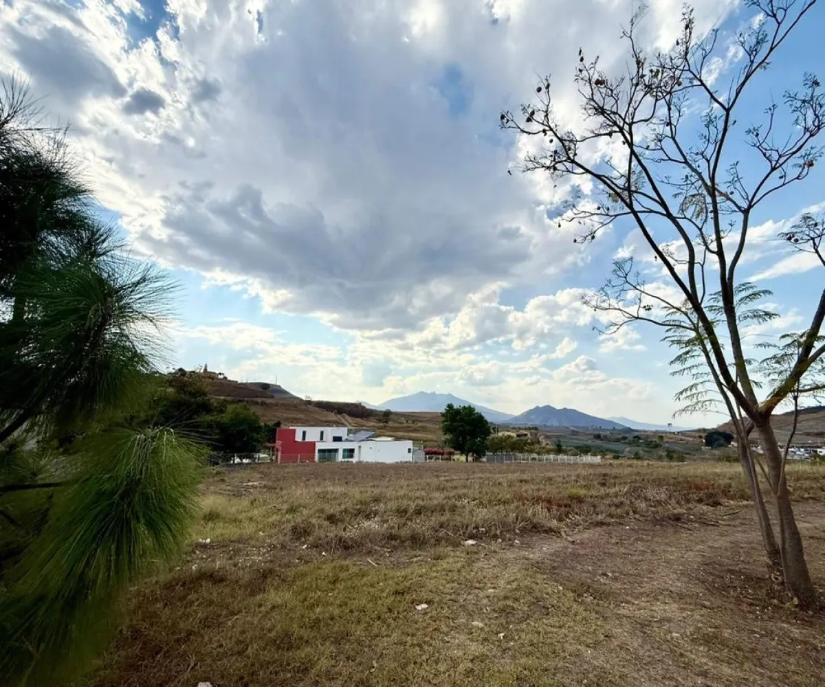 Terreno En Venta,Santa Sofía,Autopista Guadalajara - Tepic 11, El Arenal, Jalisco 45350,Autopista Guadalajara - Tepic,pKsBp5J